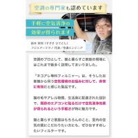 ＼初回1480円／ 【定期コース】 ネコアレ専科 フィルニャー 40x80cm 2枚入